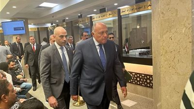 شكري يتفقد الأعمال القنصلية وسير عمل خدمات المصريين في الرياض