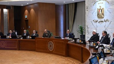 مدبولي يُشيد بقرارات البنك المركزي لاستهداف توحيد سعر الصرف وفقًا لآليات السوق