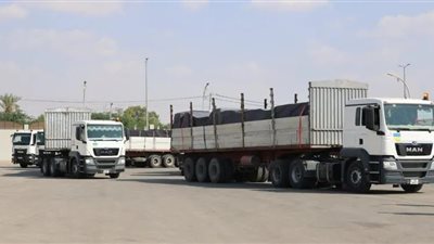 الأردن.. شاحنات محملة بالأدوية عبرت الحدود لدعم فلسطين