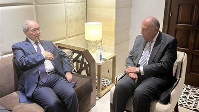 شكري ونظيره السوري يبحثان تطورات العدوان الإسرائيلي على غزة