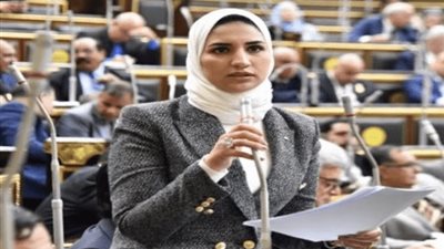 القضاء الإداري يُقضي برفض دعوى «نائبة الغش»