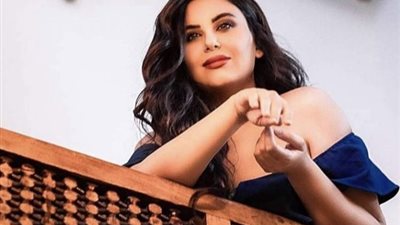 دانا حمدان تتعرض لوعكة صحية