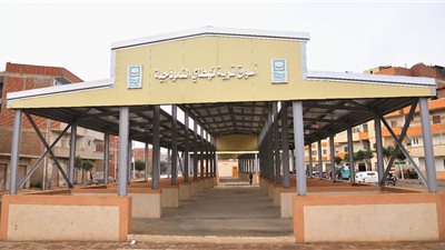 محافظ الغربية يتابع مشروعات حياة كريمة بنهطاي ومشاريع التطوير بالمحلة الكبرى