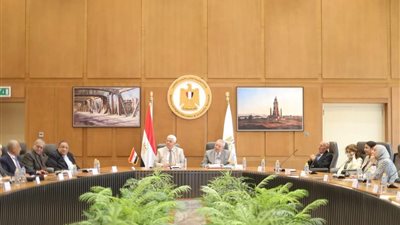 «عاشور» يوجه بزيادة مشاركة الجامعات في المشروعات التنموية