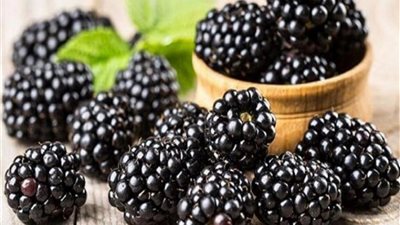 يقي من السرطان ويعزز صحة الدماغ.. تعرف على فوائد 