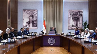 «مدبولي» يستعرض الرؤية المقترحة لتطوير منطقة جنوب القاهرة التاريخية