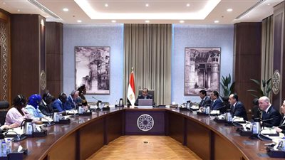 رئيس الوزراء يلتقى الأمين العام لمنظمة 