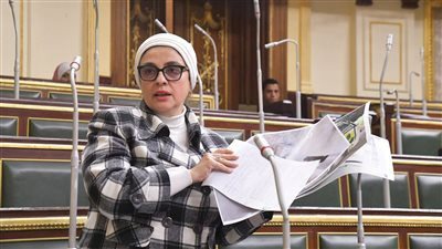 استغاثات المورديين.. برلمانية تتقدم بطلب إحاطة لإيقاف تصدير البطاطس