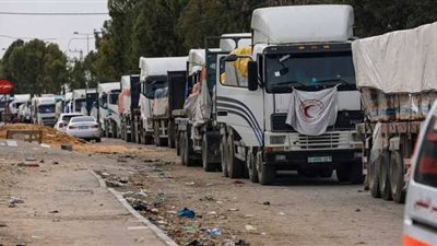 الأمم المتحدة: 168 شاحنة مساعدات تعبر يوميا إلى قطاع غزة