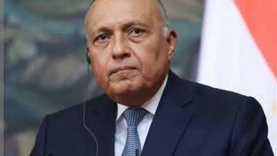 وزير الخارجية يتلقى اتصالاً هاتفياً من وزير خارجية فنزويلا