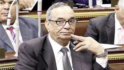 عضو مجلس النواب: هناك 9 ملايين لاجئ يقيمون في مصر يتمتعون بمزايا المصريين