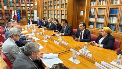 وزير الصحة يبحث مع نظيره الإيطالي دعم التعاون المشترك