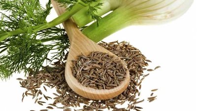 الشمر يعالج الاكتئاب والحموضة وعسر الهضم