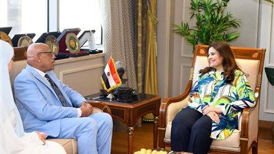 وزيرة الهجرة: الوزارة تمثل داعما رئيسيا لكل المصريين بالخارج