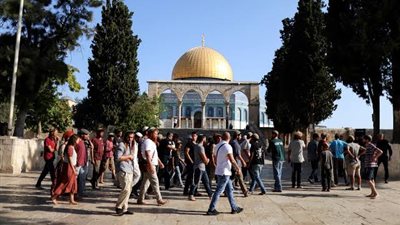 في حماية قوات الاحتلال.. مستوطنون يقتحمون المسجد الأقصى