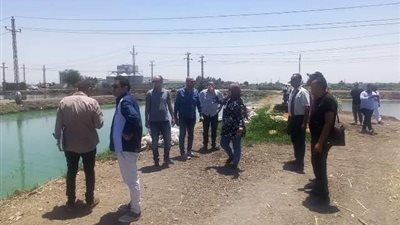 إزالة 35 مزرعة سمكية مخالفة بالشرقية