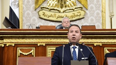 «النواب» يوافق على منحة الوكالة الفرنسية لتطوير القمح وتحسين جودة الحبوب