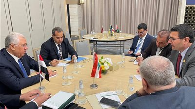وزير الزراعة ونظيره اللبناني يتابعان الملفات الزراعية المشتركة بينهما