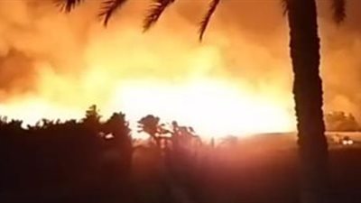 مصرع شخص جراء حريق أشجار النخيل فى أسوان