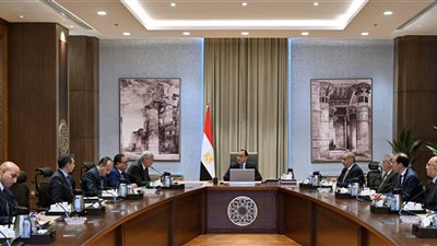 «مدبولي» يشهد عبر الفيديو كونفرانس افتتاح ٥ فروع لصيدليات 