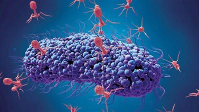 الصحة تُحذر من انتشار عدوى بكتيريا نادرة وخطيرة في أنحاء اليابان