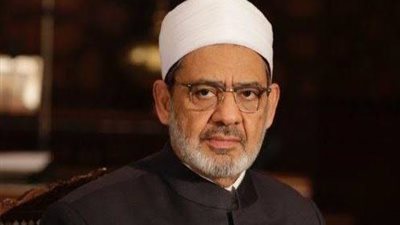 شيخ الأزهر: الإسرائيليين فعلوا جميع الأشياء المحرمة وعقابهم مؤجل مؤقتاً