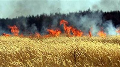 خلافات الجيرة وراء اشتعال النيران فى أرض زراعية بأسوان