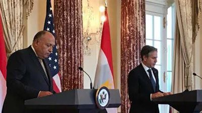 شكري: مصر ترفض مخططات التهجير لتصفية القضية الفلسطينية