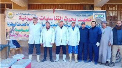 الزراعة تعلن علاج وفحص المواشي مجاناً ضمن مبادرة «حياة كريمة»