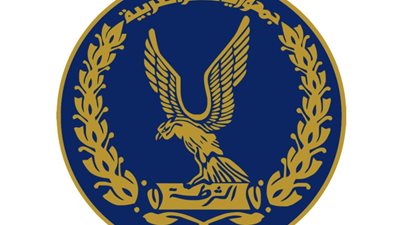 الداخلية: لا يوجد تجاوزات للجماهير في استاد القاهرة