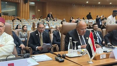 نص كلمة وزير الخارجية خلال مؤتمر القمة الإسلامي