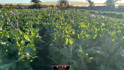 ضربة أمنية جديدة.. 