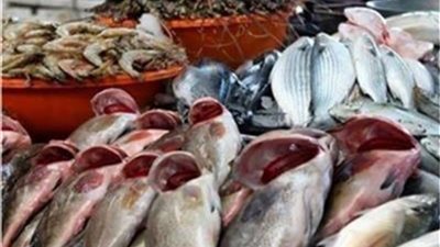 الكابوريا بـ 210..أسعار الاسماك اليوم بالمحال التجارية