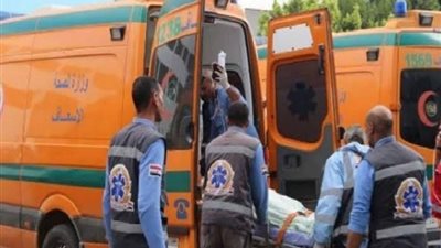 مصرع فتاة سائقة توك توك في الدقهلية