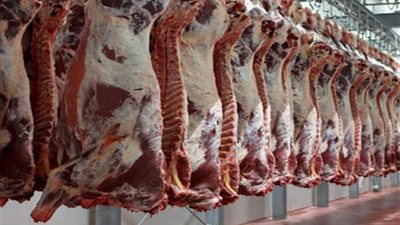 البتلو بـ 450..أسعار اللحوم الحمراء بالمحال التجارية 