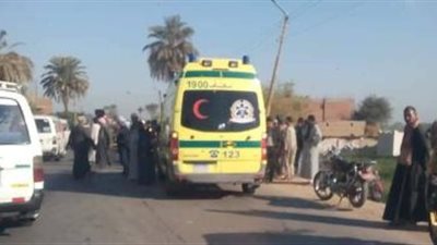 مصرع وإصابة طفلة إثر حادث تصادم في الدقهلية 