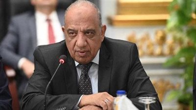 وزير الكهرباء: الدولة تحرص على تعزيز الشراكة في مشروعات الطاقة الجديدة والمتجددة