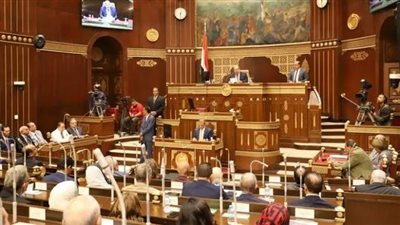 «هنو».. طريق إصلاح قصور الثقافة طويل ومرهق.. ولن نتراجع