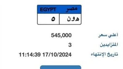 تصل لـ 545 ألف جنيه.. المرور تعلن المزايدة على لوحة معدنية مميزة