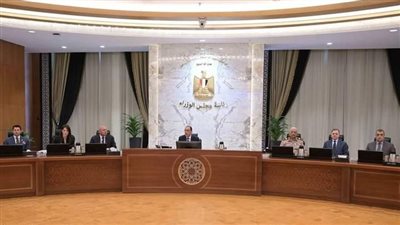 تعرف على أبرز قرارات مجلس الوزراء في اجتماعه الخامس عشر  