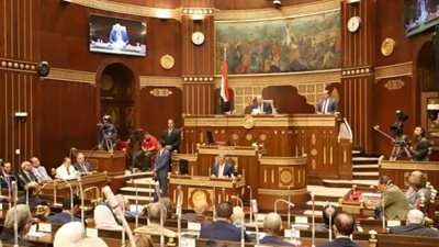 الشيوخ: إحالة طلب مناقشة تسجيل العقارات والأراضى للجنة الدستورية