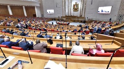 النائبة رحاب موسي: انضمام مصر للبريكس يساهم في تعزيز التعامل بالعملات المحلية