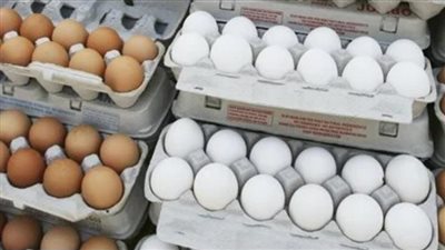بعد قرار استيراد البيض من تركيا.. هل انخفضت الأسعار بالأسواق المصرية؟