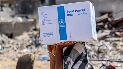 بعد قرار حظرها.. اليونيسيف لا يمكنها العمل دون الأونروا