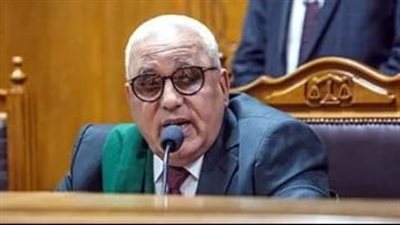 الدائرة الأولى إرهاب تحيل أوراق المتهمين بـ خلية الحدائق للمفتي