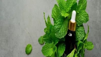 فوائد واستخدامات ماء النعناع للعناية بالبشرة