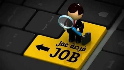 وزارة الشباب توفر 15 فرصة عمل برواتب مجزية بمحافظتي القاهرة والجيزة