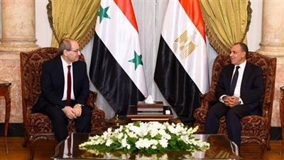 لقاء بين وزيري خارجية مصر وسوريا على هامش القمة العربية الإسلامية