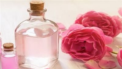 فوائد نبتة ماء الورد للصحة العامة والجمال الطبيعي