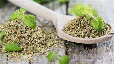 تحكم في هرموناتك طبيعيًا: كيف يساعد البردقوش والهندباء في التنظيم؟